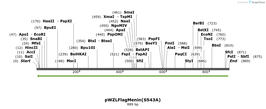 37750_map
