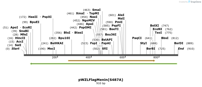 37751_map