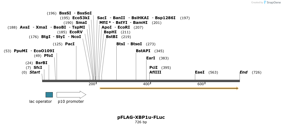 37754_map