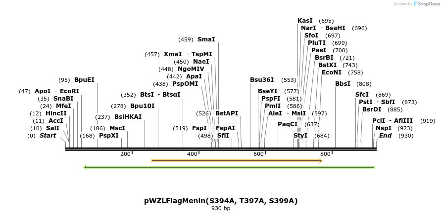 37755_map