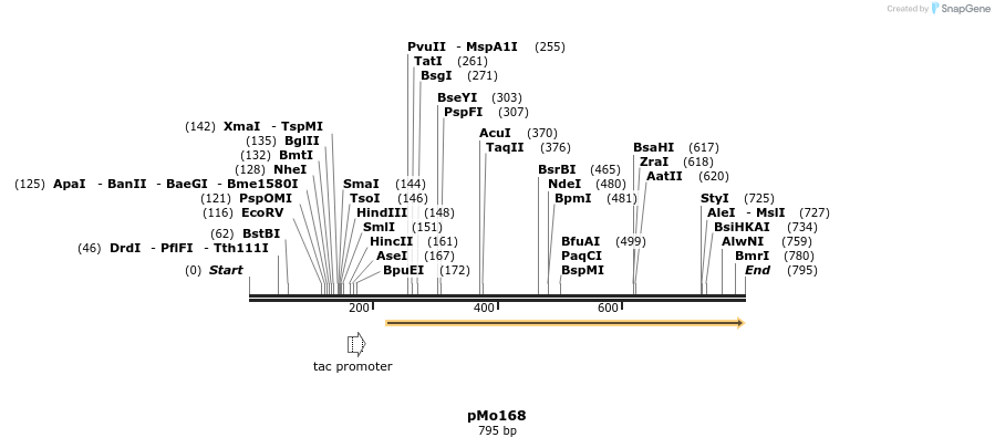 37756_map