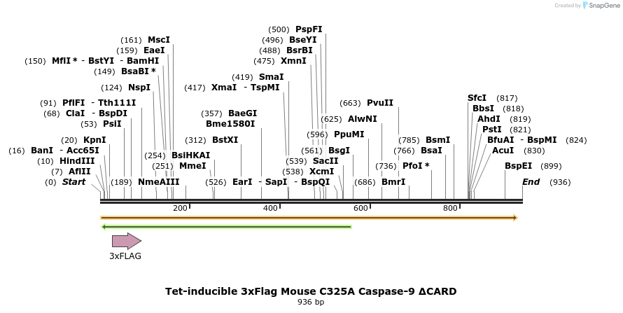 377561_map