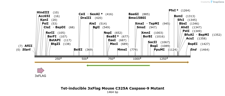 377562_map