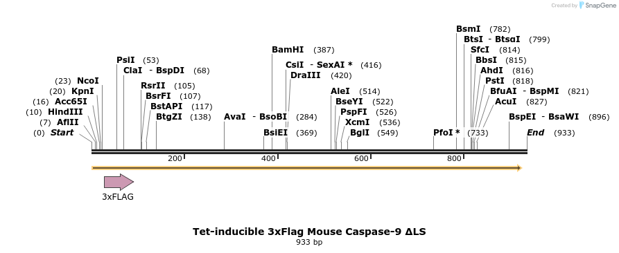 377563_map