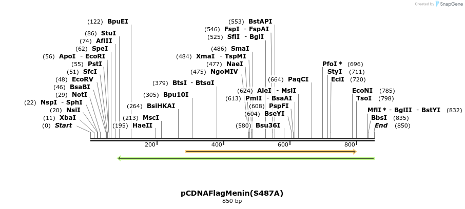 37759_map