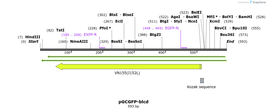 37760_map
