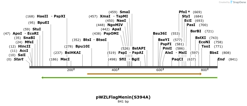 37763_map