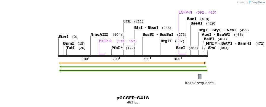 37764_map