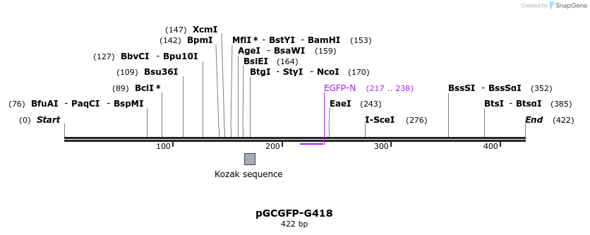 37767_map