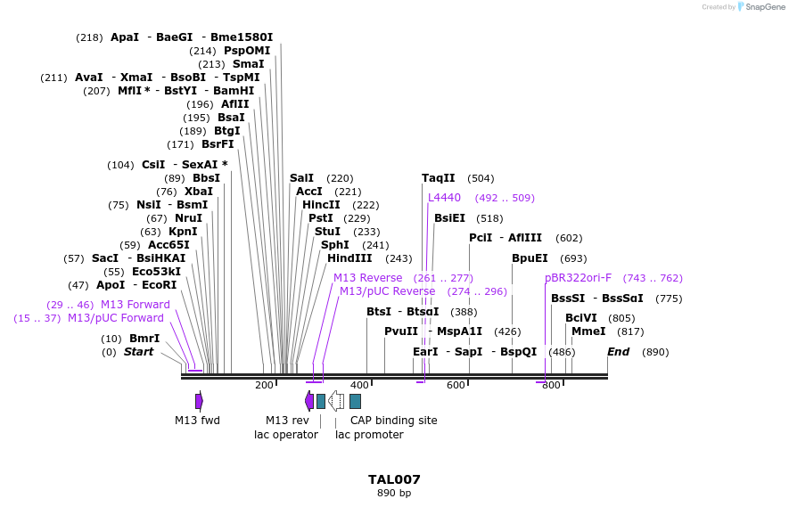 37770_map