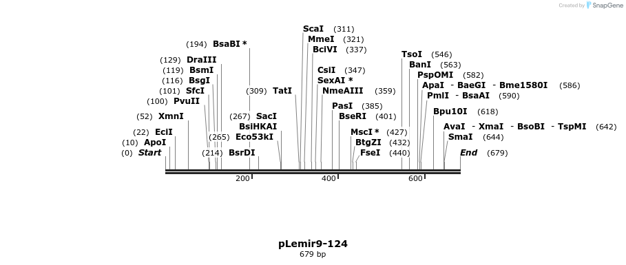 37773_map