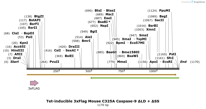 377734_map