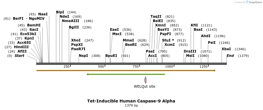 377735_map