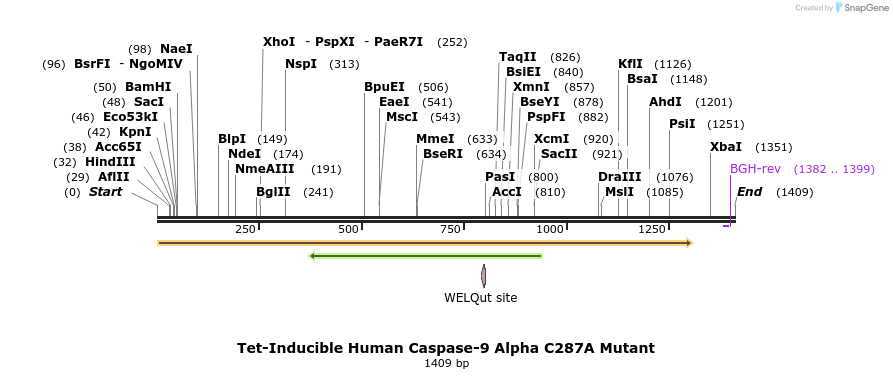 377736_map