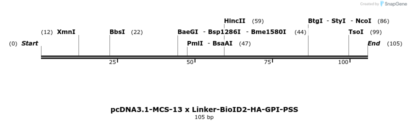 377808_map