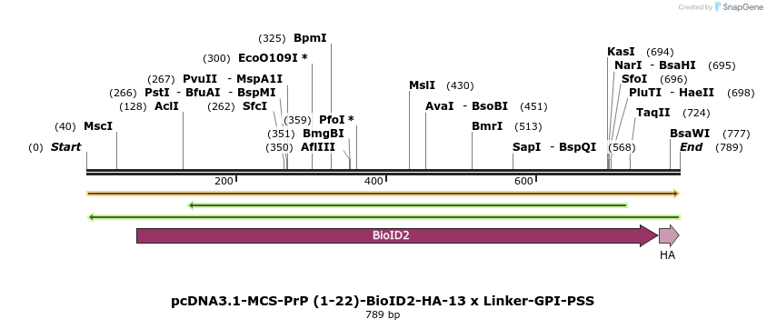 377810_map
