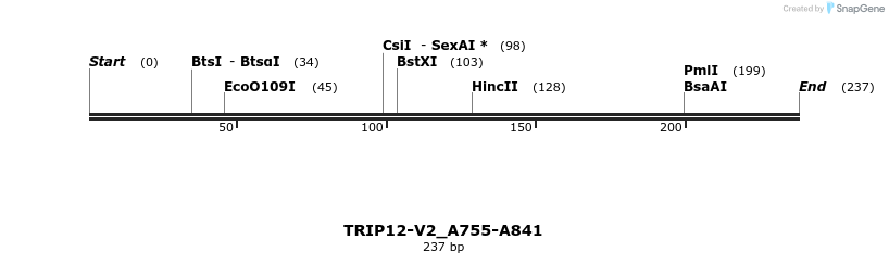 377836_map