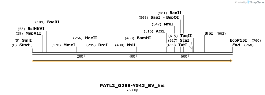 377837_map