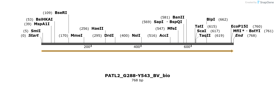 377838_map