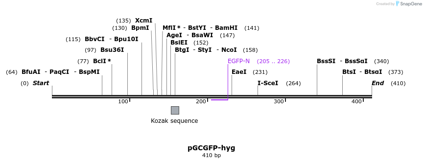 37784_map