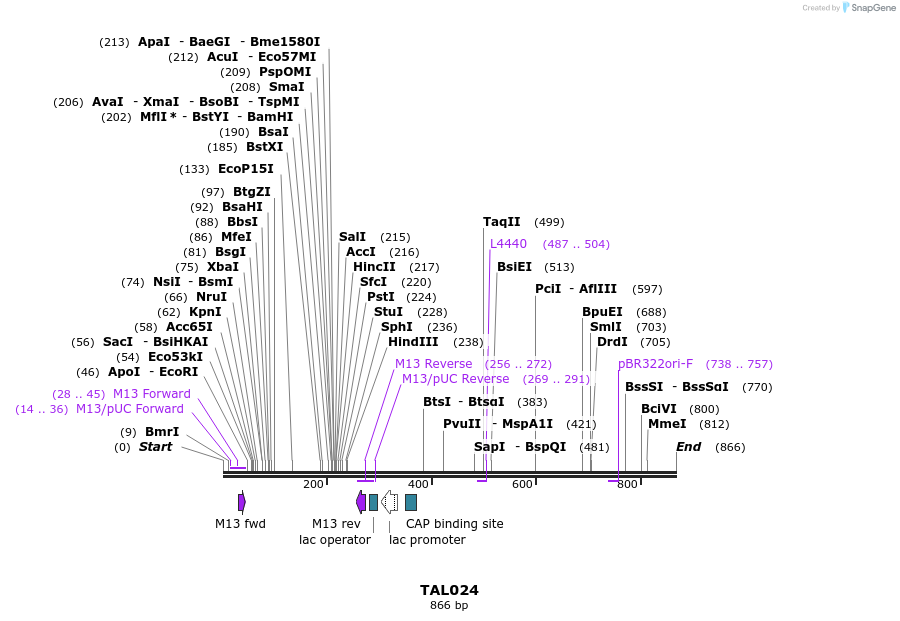 37789_map