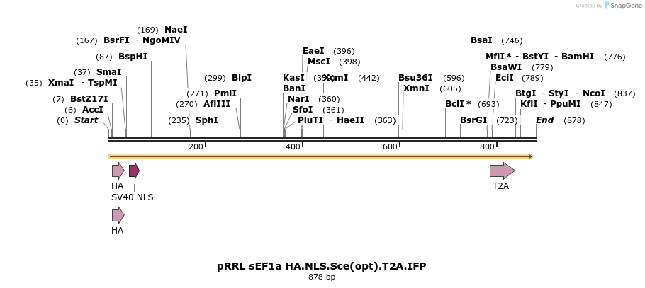 37792_map