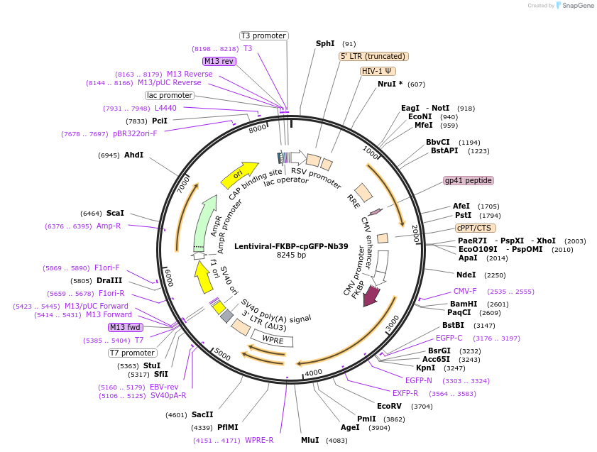 377950_map