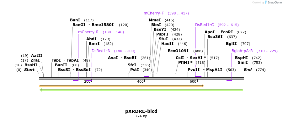 37796_map