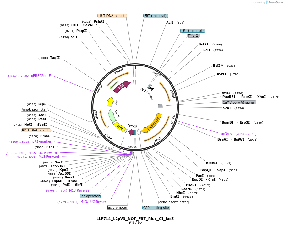 377997_map