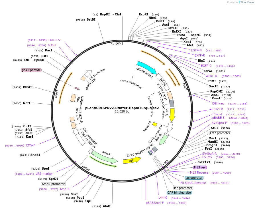 378002_map