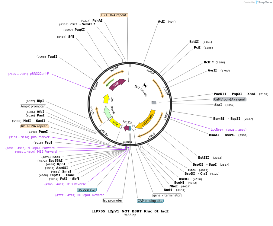 378009_map