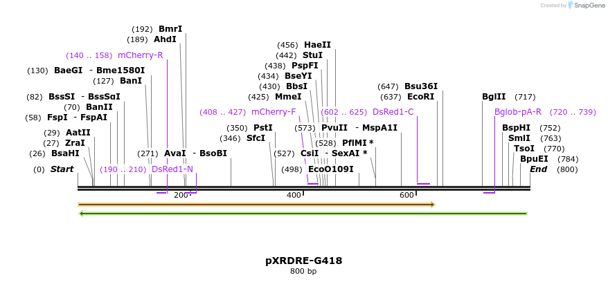 37801_map