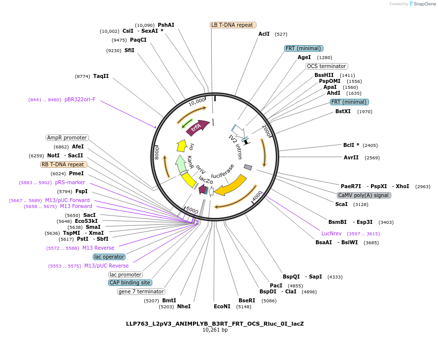 378012_map