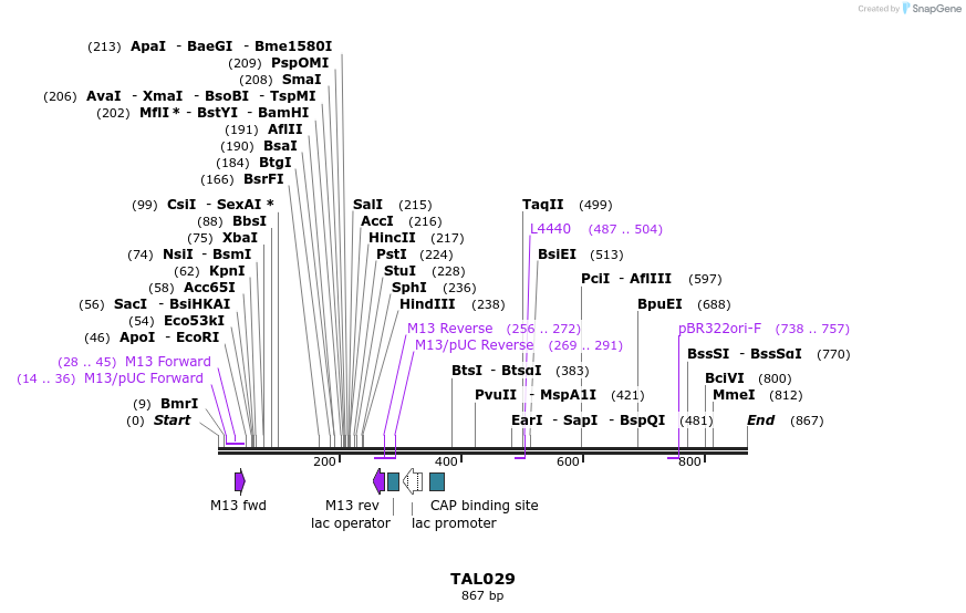 37802_map
