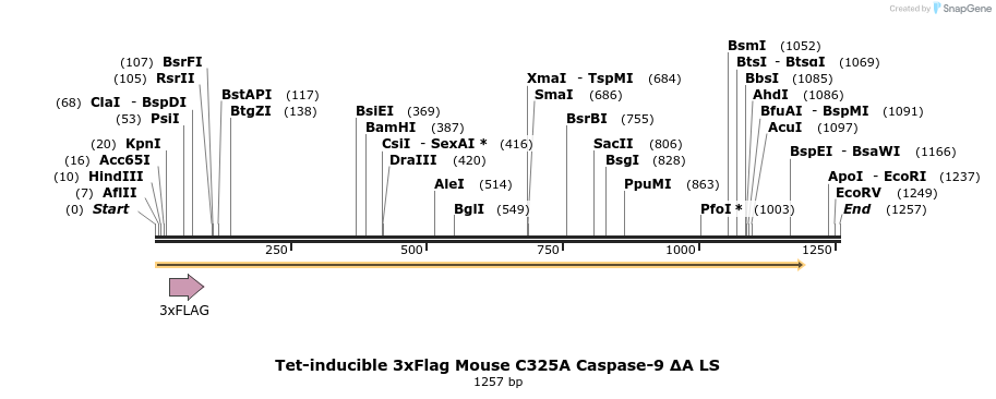 378036_map
