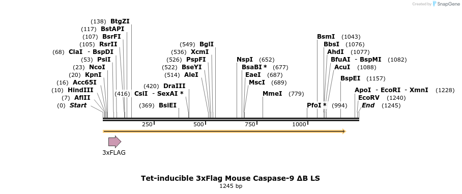 378037_map