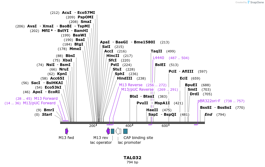 37806_map
