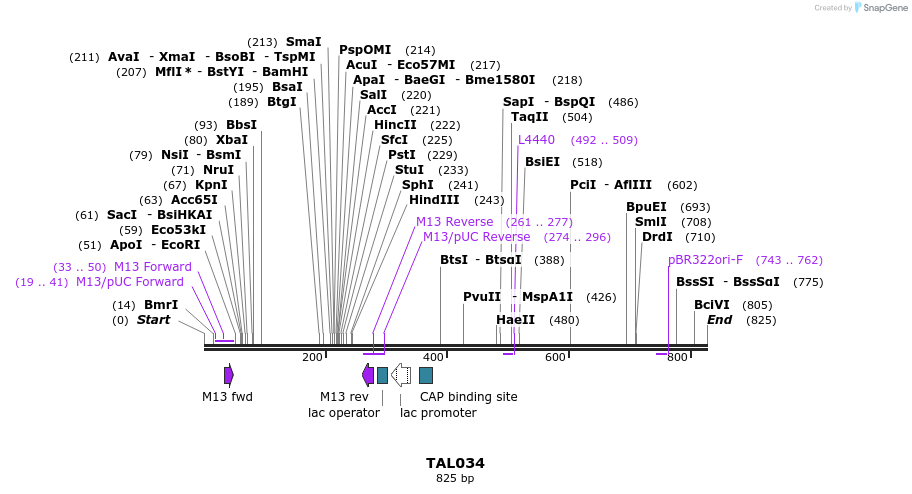 37807_map