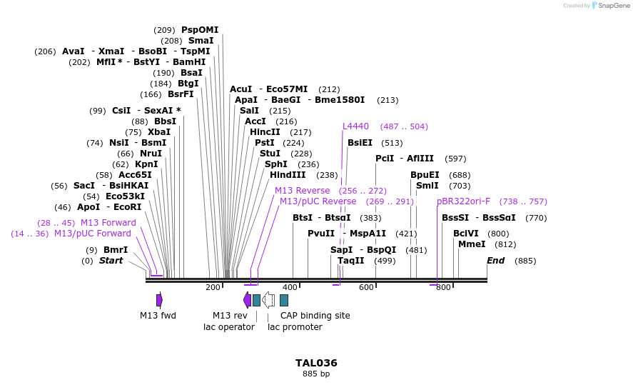 37809_map