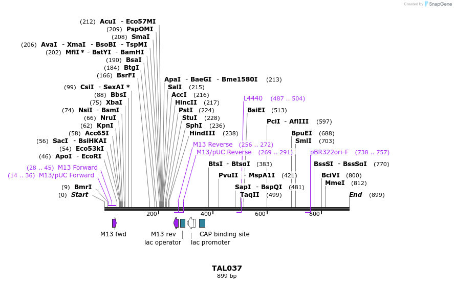 37810_map