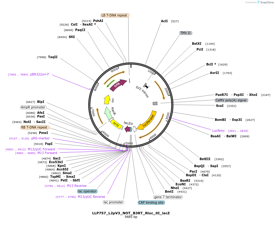 378104_map