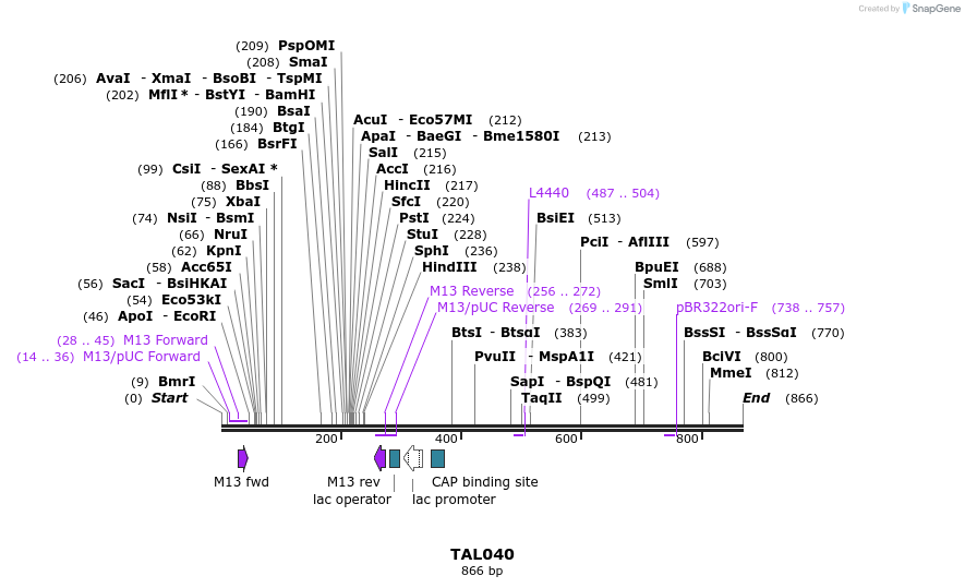 37812_map