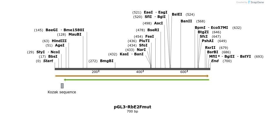 37814_map