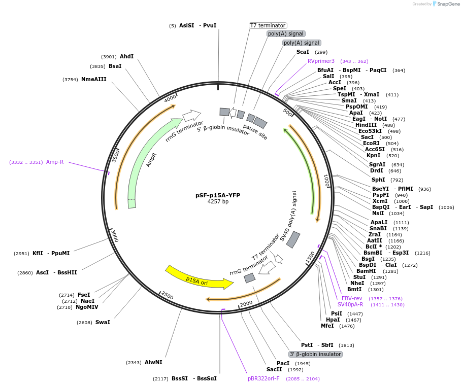 378141_map