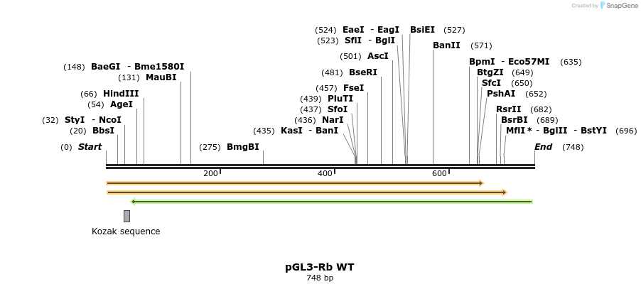 37815_map