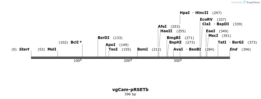 378217_map