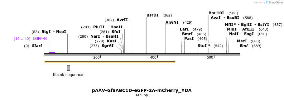 378232_map