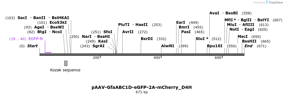 378234_map