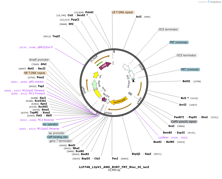 378300_map