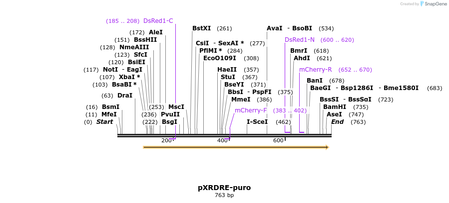 37831_map